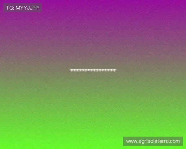 亚星登陆平台链接最新版本，获取最全面的登录入口信息与更新动态