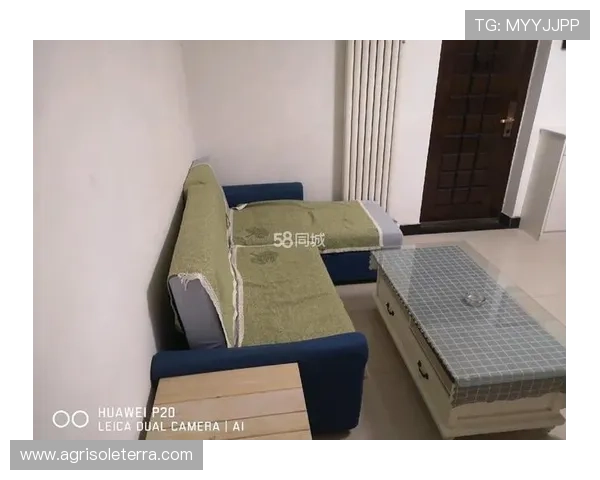 亚星租房信息网官网最新房源信息全面介绍 亚星租房信息网官网最新房源信息全面介绍