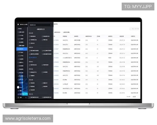 亚星管理网员工绩效考核系统的建设与实施方案