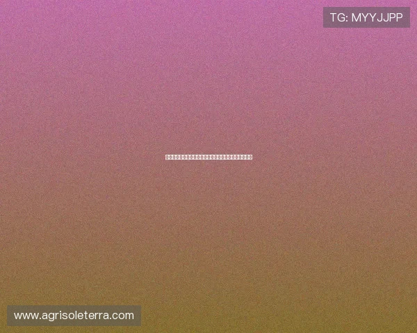 三公百家乐玩法技巧分享,提升你的游戏水平和获胜几率 三公百家乐玩法技巧分享,提升你的游戏水平和获胜几率