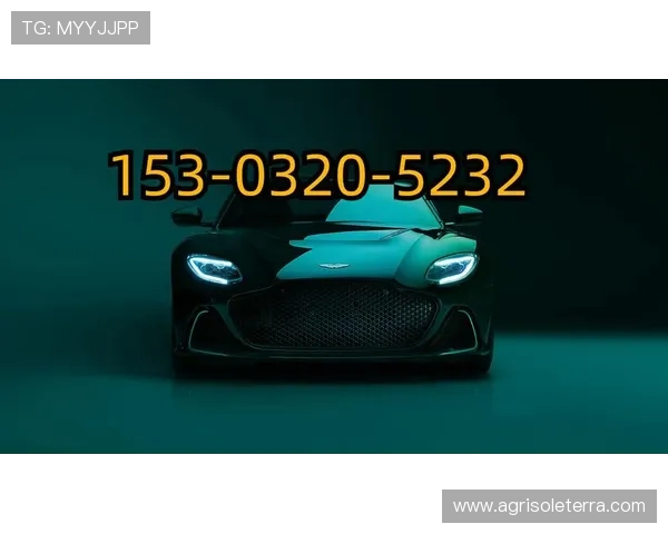 2024年yaxin000亚星登录入口官方最新更新内容及使用技巧全解析