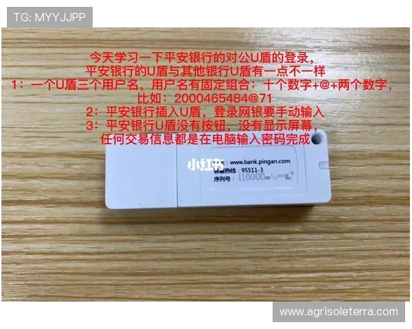 亚星登录入口网址2024年最新官方入口地址及登录流程详解