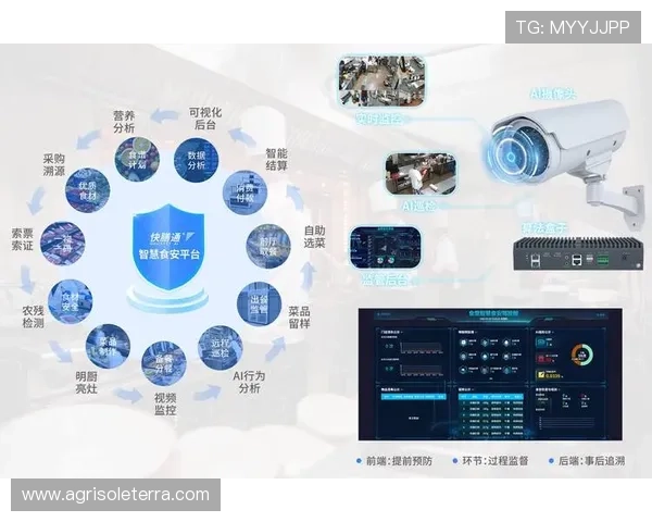亚星管理平台为游戏运营提供实时数据监控与风险预警的专业解决方案