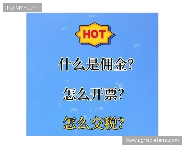 如何快速进行亚星代理佣金查询实现收益的实时掌控 如何快速进行亚星代理佣金查询实现收益的实时掌控