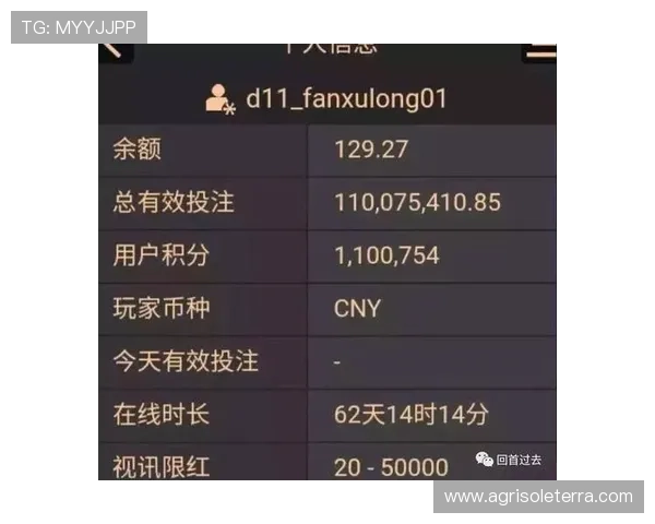 如何选择安全可靠的ag百家乐网址，专业指南帮助玩家规避风险保障资金安全