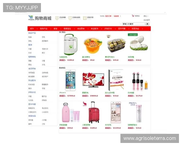 深入了解亚星正网的市场定位与品牌策略