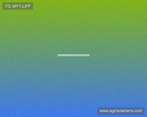 亚星娱乐手机版下载最新版本,轻松畅享丰富游戏娱乐体验 亚星娱乐手机版下载最新版本,轻松畅享丰富游戏娱乐体验