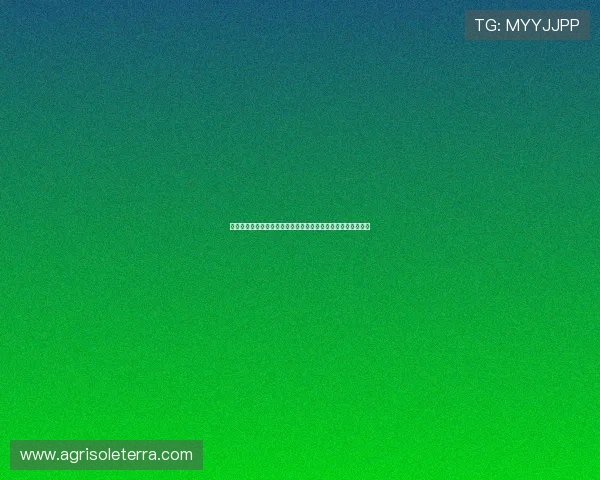 亚星娱乐旗舰厅登录线路如何配置避免登录失败的实用技巧分享