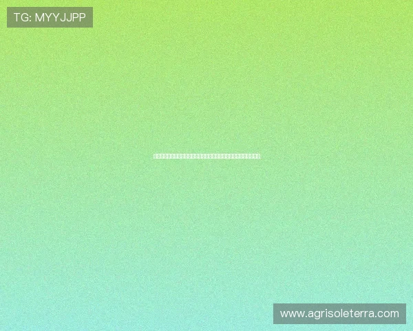 亚星娱乐电游游戏安全性分析及用户常见问题解答，保障你的游戏权益
