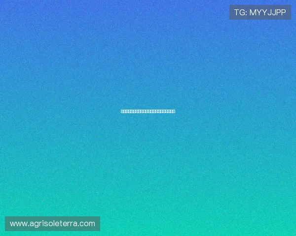 亚星娱乐真人版粉丝互动活动与线上线下精彩内容