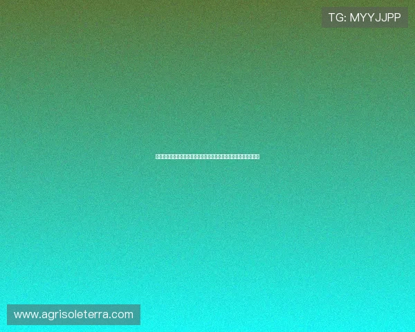亚星娱乐线上登陆流程详解,帮助新手快速注册并顺利进入游戏世界 亚星娱乐线上登陆流程详解,帮助新手快速注册并顺利进入游戏世界