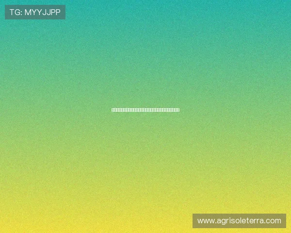 如何重置亚星官网登录密码，确保账号信息安全与顺利登录指南