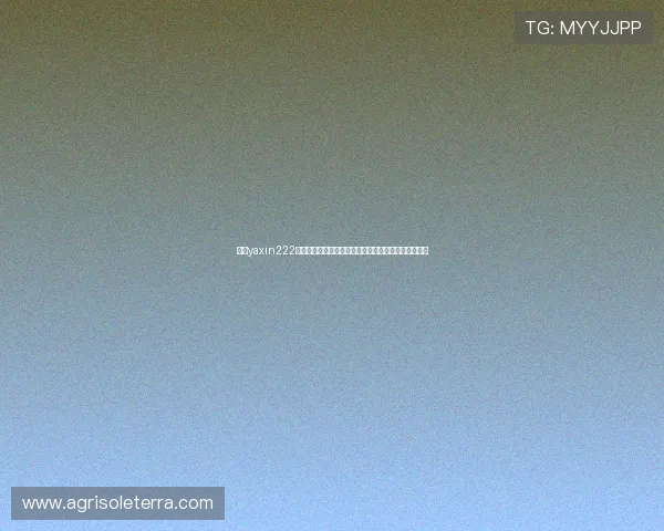 亚星yaxin222官网入口提供最新世界杯赛事直播与赛程信息全面解析