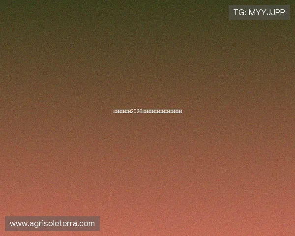亚星国际家园：2026年世界杯赛程安排与精彩赛事全解析