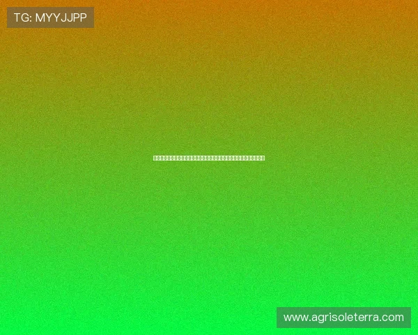 亚星娱乐网址官方网站为用户呈现全面的世界杯比赛资讯与实时比分更新